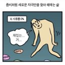 Big5 검사하는법(링크공유)/후기