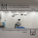 파트너동물의료센터 이미지