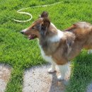 수청리농장 이미지