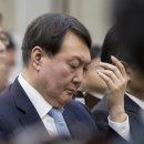 존안 Daum카페