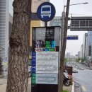 [서울/신사동] 청담 두피케어 강남 도산공원 &#39;뷰티로망스&#39; 후기