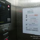 샤론헤어샾 - 목포시 | 샤론헤어샾