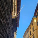 벨라약국 이미지