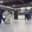 봄내유도장 이미지