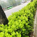 동양이엔피(주) 이미지