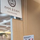 가이아 호두파이 이미지