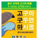 충주시의 보물 '홍보 담당 공무원' 이분 진짜 물건이네요. 이미지