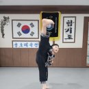 합기도 용호체육관 이미지
