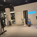 스카이 피티 이미지