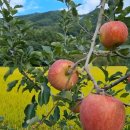 신명농장 이미지