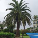 더 스위트호텔 | 제주 더 스위트호텔 가족방 숙박 후기 – 테라스에서 즐긴 가족 힐링타임