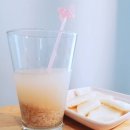 더닮 이미지