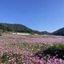 꿈앤들 통기타 네이버블로그