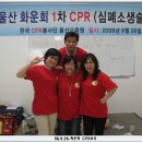 대흥운수(주) 이미지