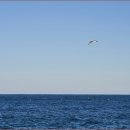 자작도해변 이미지