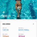 수영-301 이미지