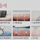레가토 이미지