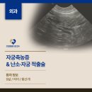 C.T.종합동물병원 | 김해 외동 동물병원 자궁축농증으로 인해 응급수술을 진행한 9살 풍산개 사례