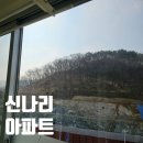 산호대로-21 이미지
