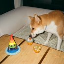 반려반상 이미지