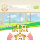 댕댕스 Daum카페