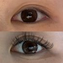 수영사우나 | [리뷰] 벨로르(구 예니브로우) LED 속눈썹 연장 후기 : 수영 사우나 운동 걱정 끝 💦