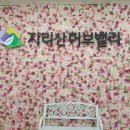 나나밸리 이미지