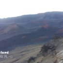 대양여행사 이미지