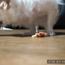 먹자 이미지