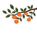 그라운드 골프아카데미 이미지