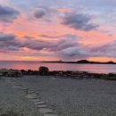 아라파파 이미지