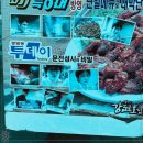 강원도집 이미지