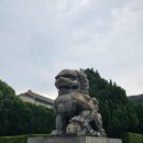 [타이베이 4박5일 자유여행 3일차🇹🇼] 타이베이 국립 고궁박물관