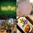 시선 | 세종대형카페 시선293 다녀온 후기