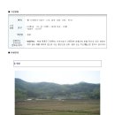 인안2리 Daum카페
