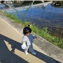 가자주류 원주기업도시점 이미지