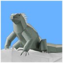 이구아나 이미지