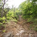 함지박골 이미지