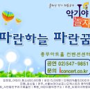 파란악기 이미지