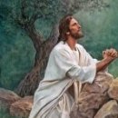 송선화집사 이미지