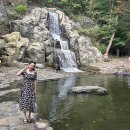 성주산자연휴양림 | 보령 성주산자연휴양림 수목원 편백나무숲 관광 명소 코스