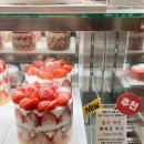 케익하우스 슈 | 수원역 슈케이크하우스 딸기케이크 내돈내산 솔직후기