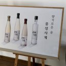 법인화양
