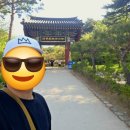 체스터톤스 낙산 호캉스 후기 올댓스테이 패키지로 즐긴 낙산사 도보 여행