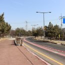 공단로가로수 이미지