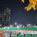 미성자동차정비 이미지