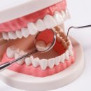 분당그린치과의원 이미지