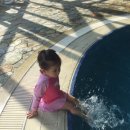 휘닉스명진 이미지