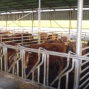 형제영농조합법인 이미지