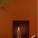 오늘염색방 이미지